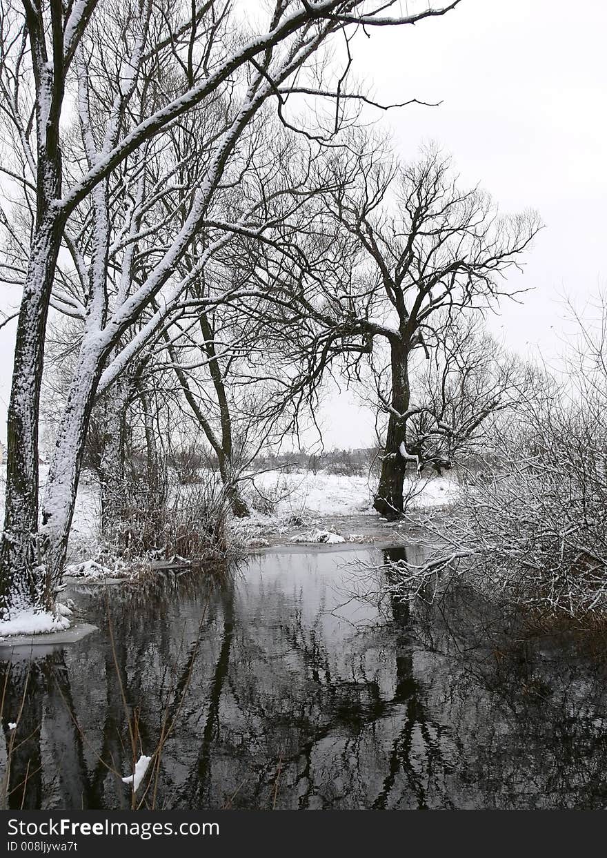 Trees covered with snow over a river. Trees covered with snow over a river