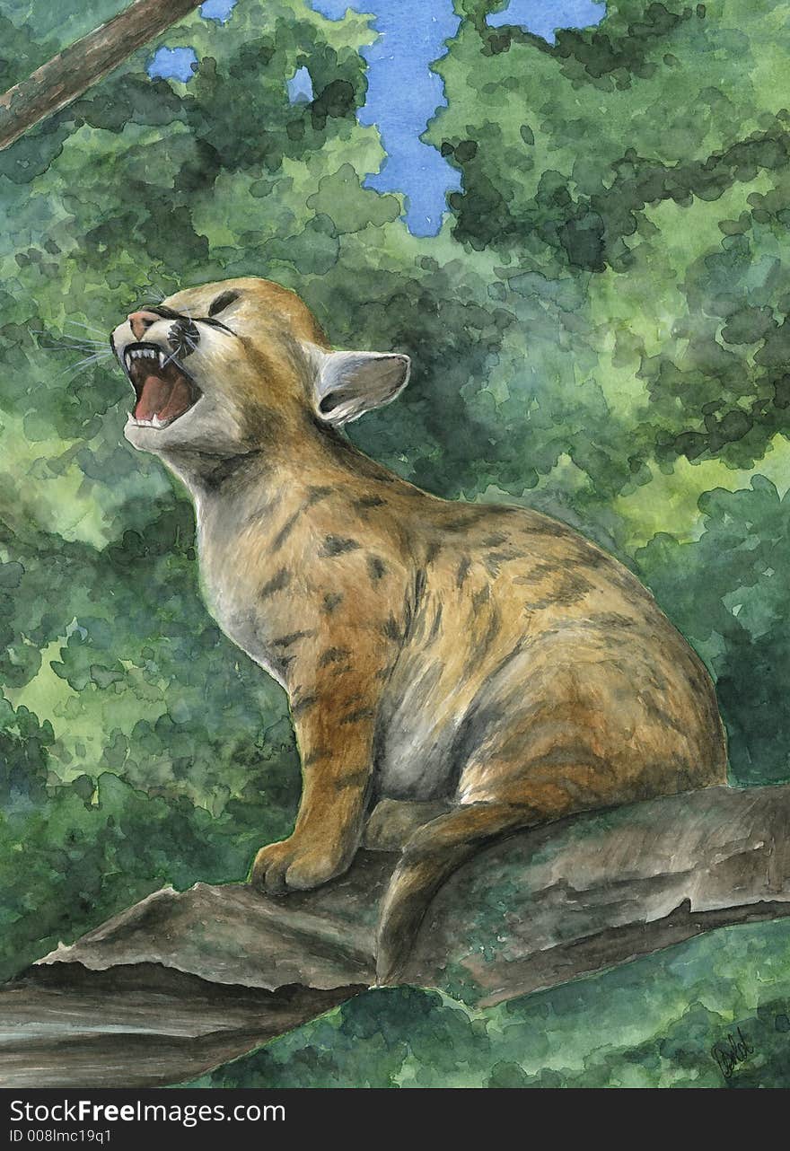 A crying little mountain lion - Artwork made with watercolour. A crying little mountain lion - Artwork made with watercolour