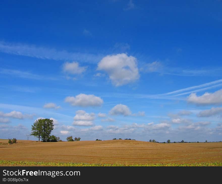 Field and tree. Nice wiev of my favorite field. Field and tree. Nice wiev of my favorite field.