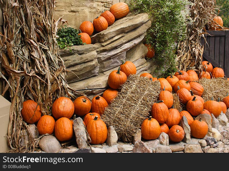 Pumpkins on the Rocks