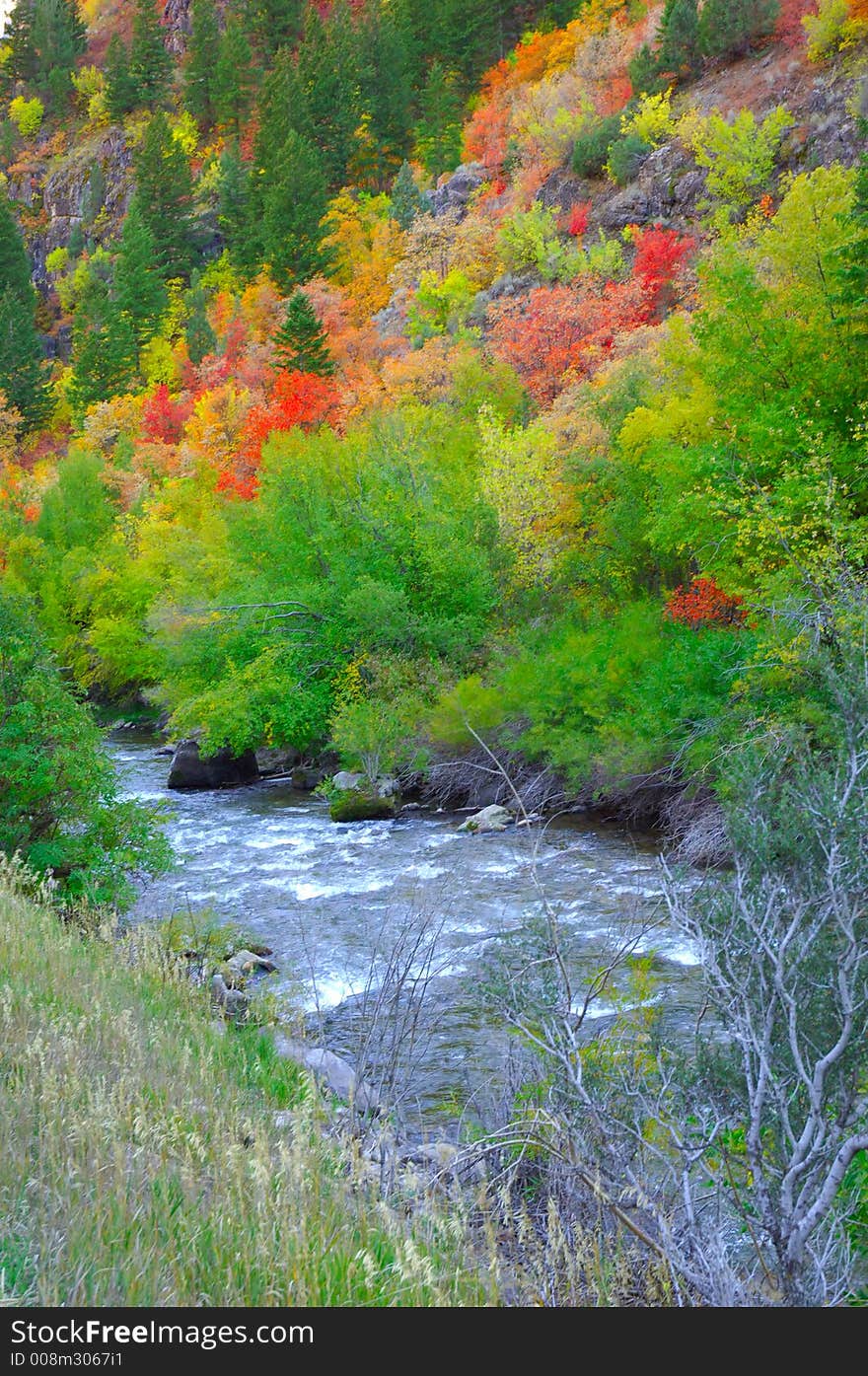 Fall Colors In The High Country