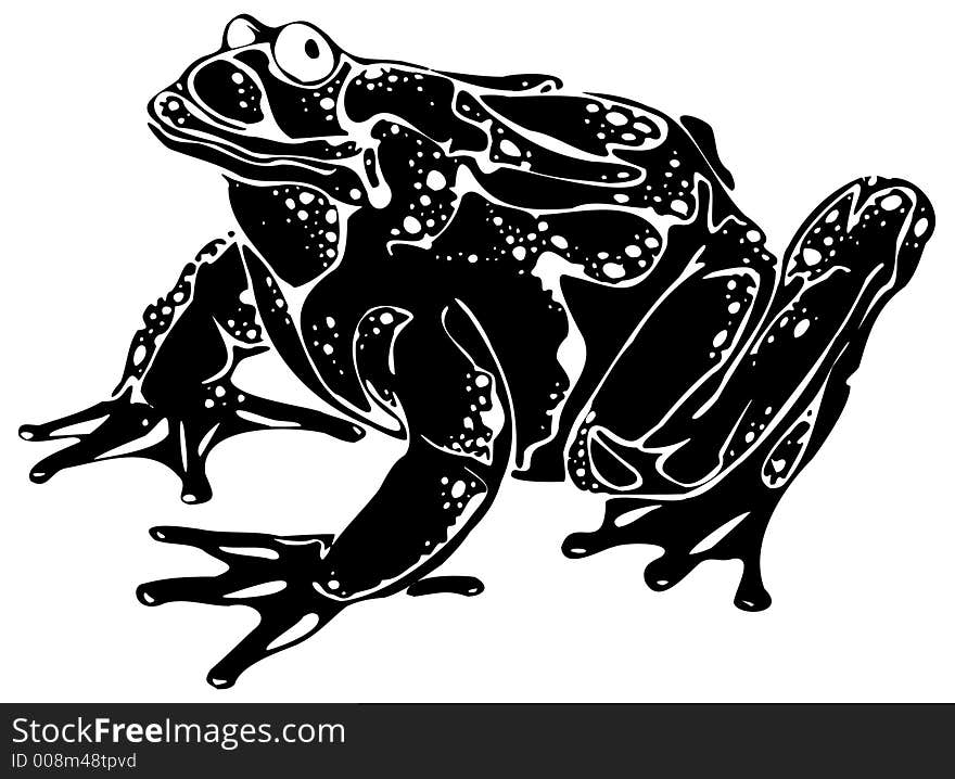 Frog high contrast line art drawing