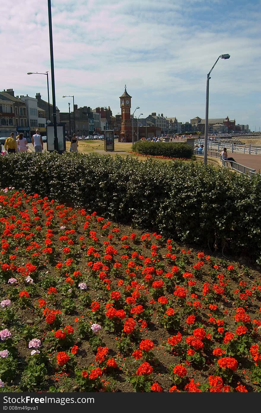 Flowers and clock tower