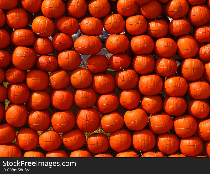 Wall of pumpkins at the farmer's market. Wall of pumpkins at the farmer's market