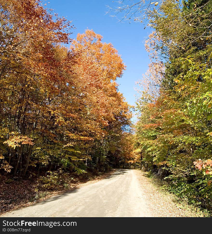 Fall leaves beside a country road, Muskoka, Ontario, Canada.