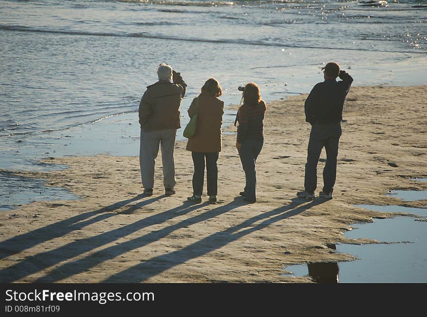 Four people watching whales from the shore of Ptagonian coastline at sunset. Four people watching whales from the shore of Ptagonian coastline at sunset