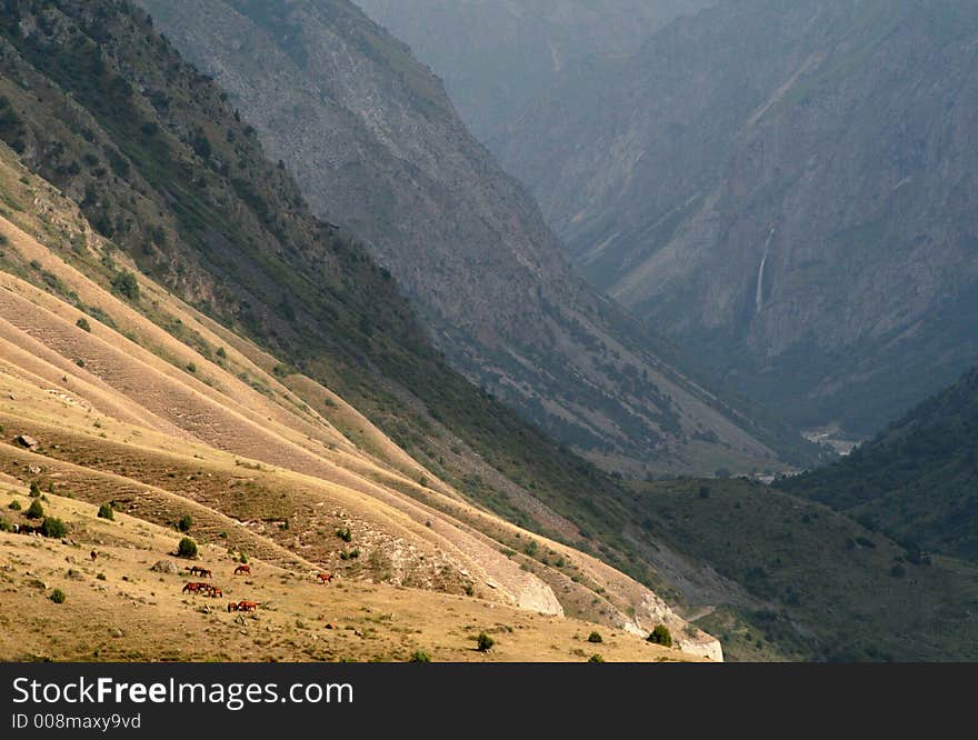 Horse in mountain Kirgiz .Sanset