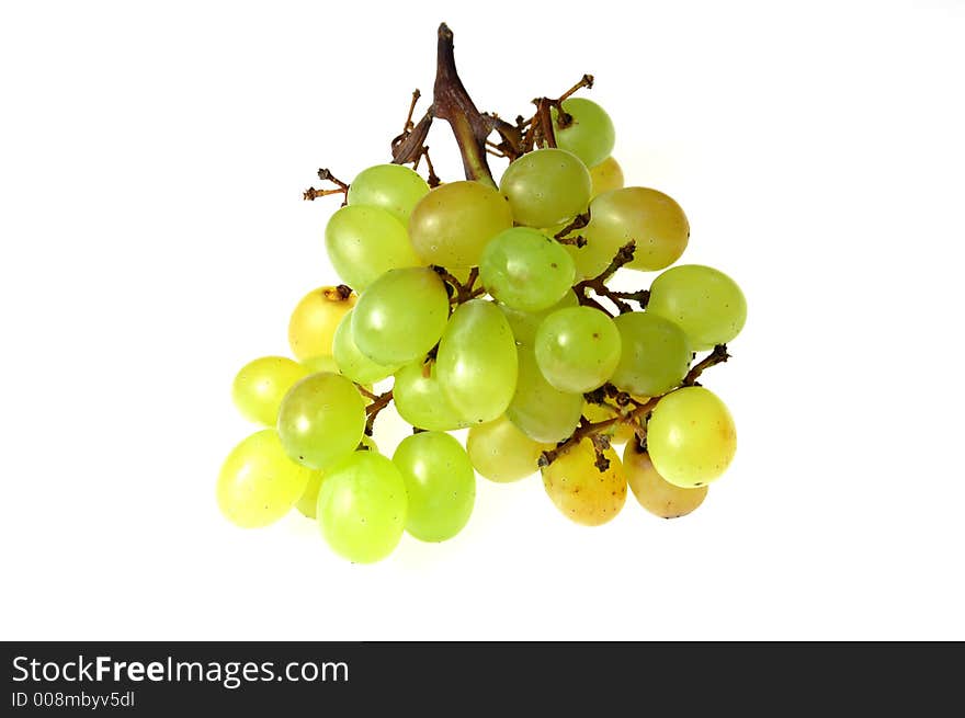 Grapes 4