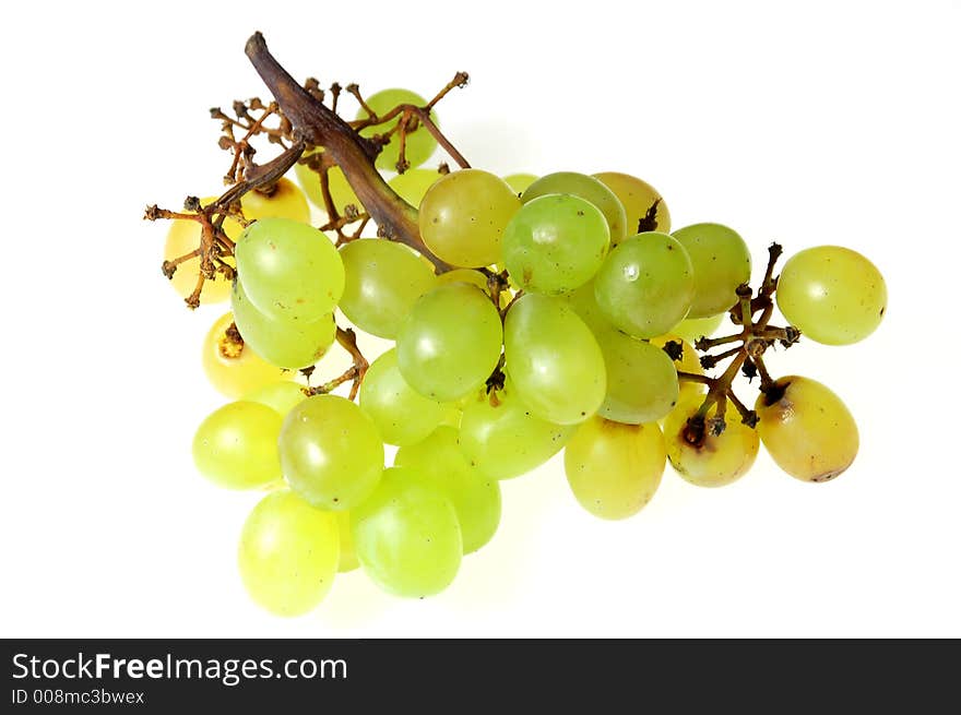 Grapes 5