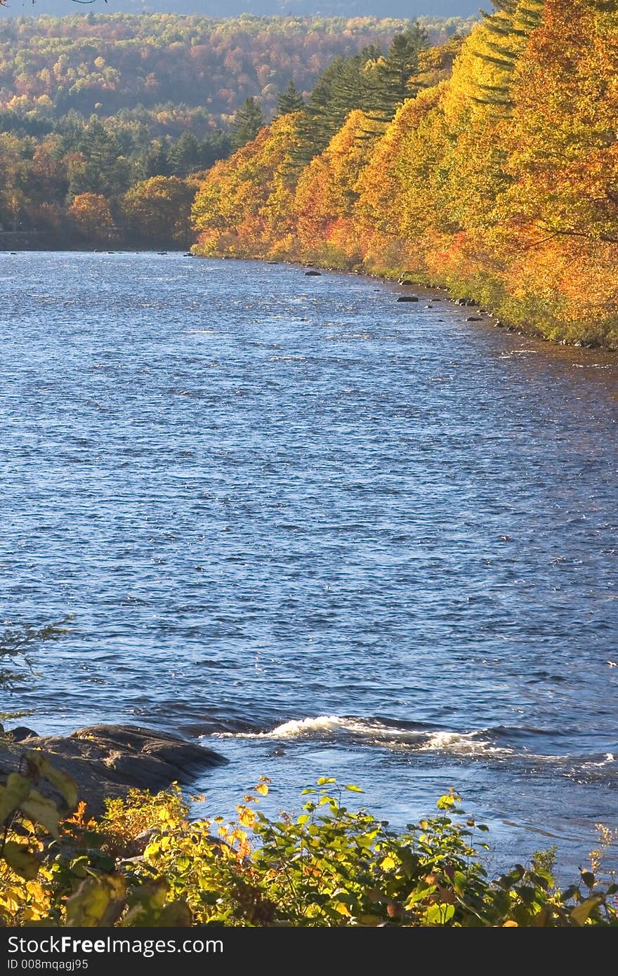 Fall Foliage by Stream