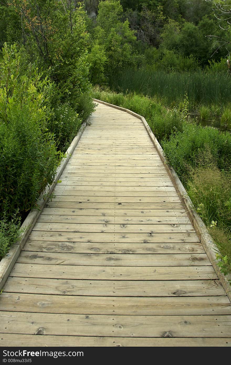 Wooden Path