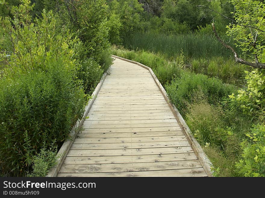 Wooden Path