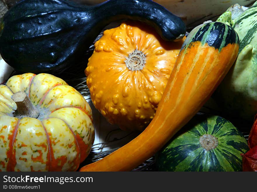 An arrangement of mixed real ornamental gourds. An arrangement of mixed real ornamental gourds.