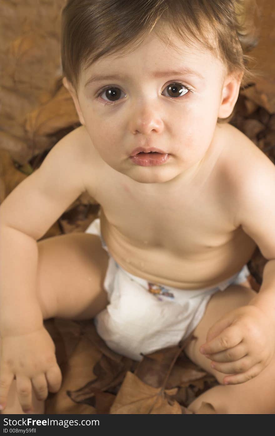 Baby  Sitting On Leaves