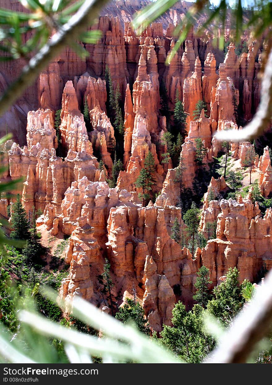 Bryce canyon national park utah in summer. Bryce canyon national park utah in summer