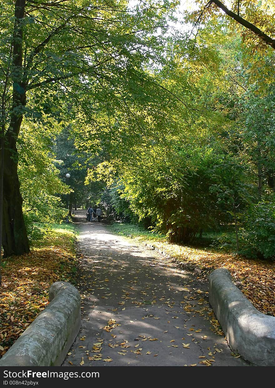 Park alley in autumn with yellow leaves