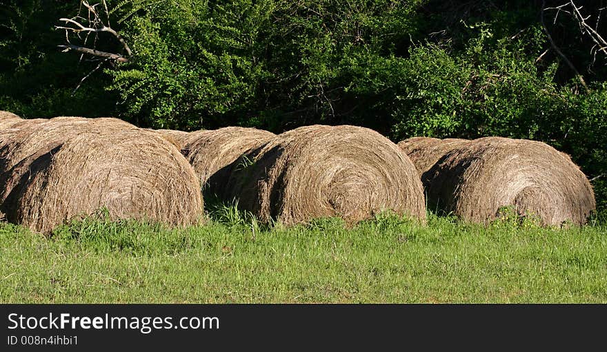 A row of hay bales in the sunshine. A row of hay bales in the sunshine.