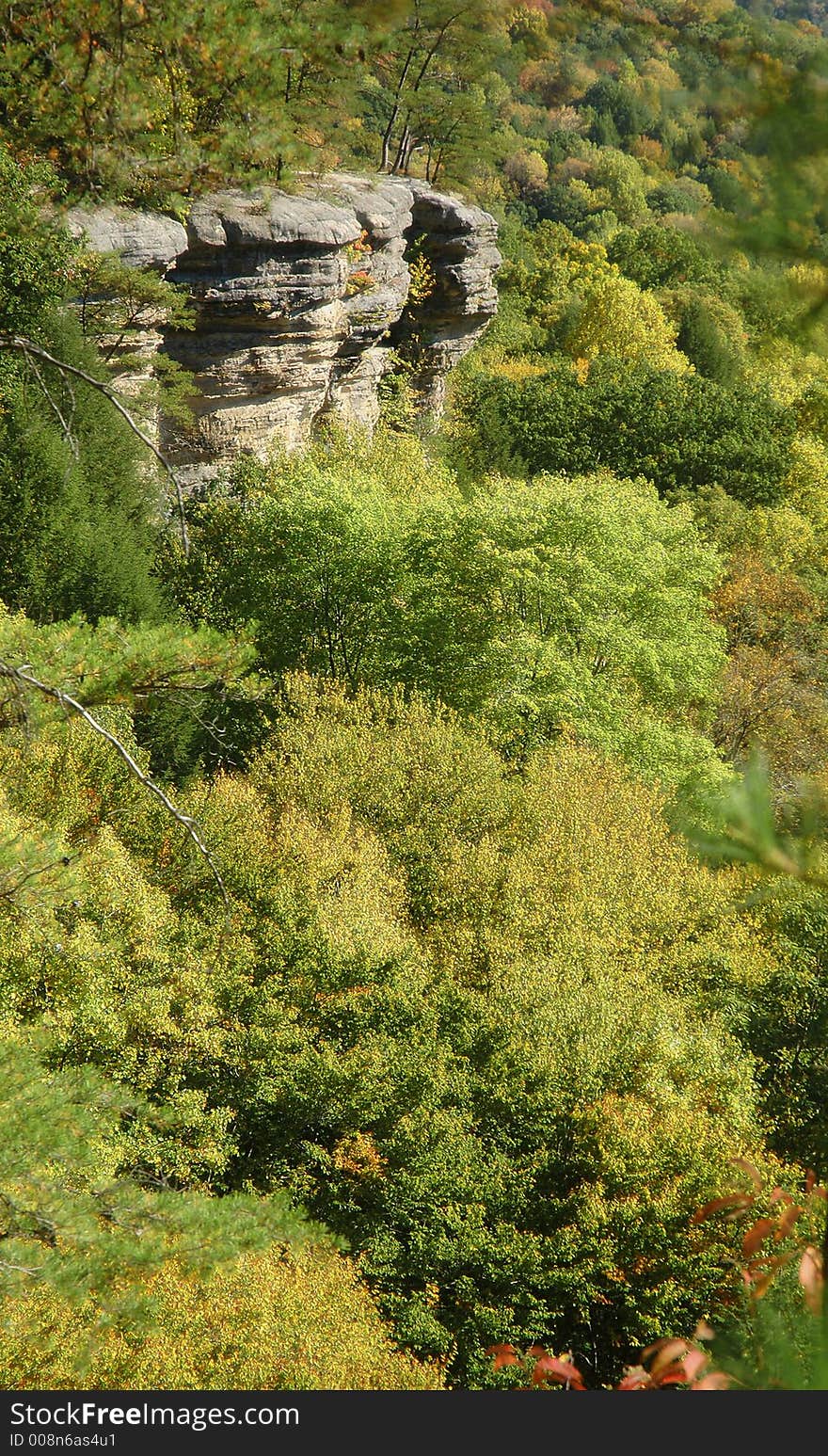 Coor photo of a forest and cliff in fall