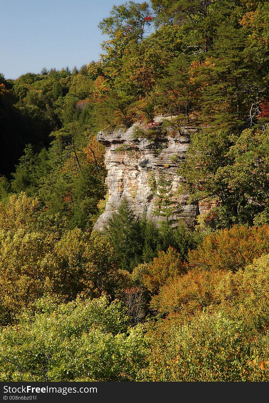 Coor photo of a forest and cliff in fall. Coor photo of a forest and cliff in fall