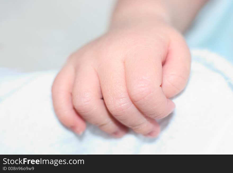 Newborn baby's hand in a fist. Newborn baby's hand in a fist