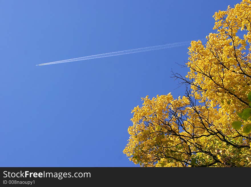 The plane in the sky in the autumn