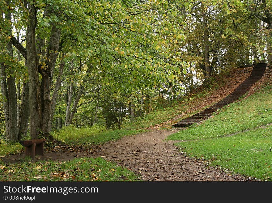 Autumn in park, lots of fallen leafs