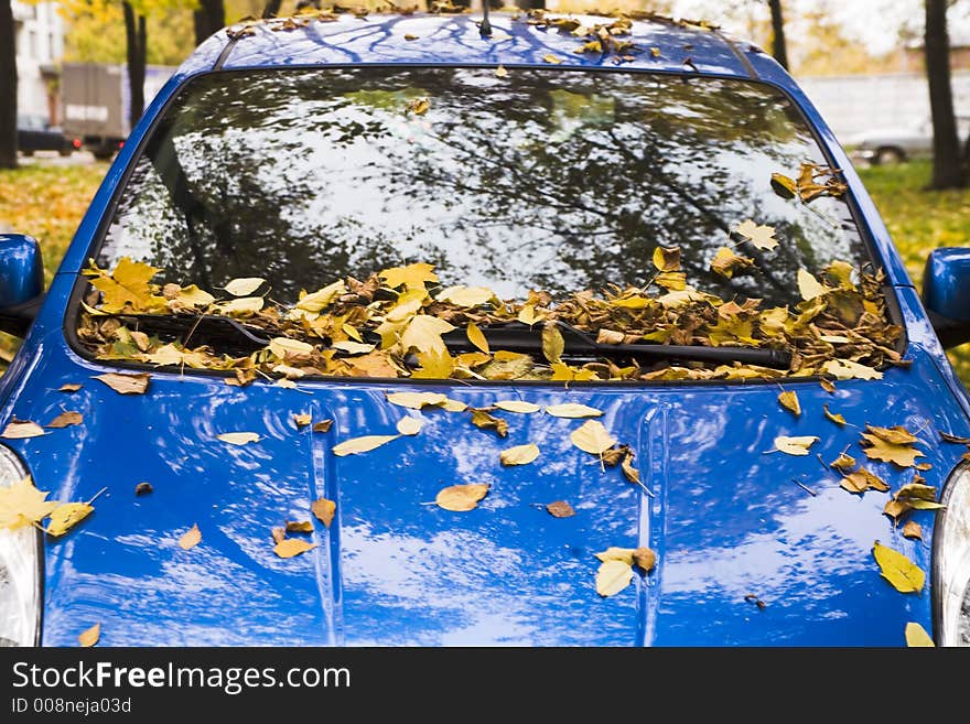 An Autumn Car