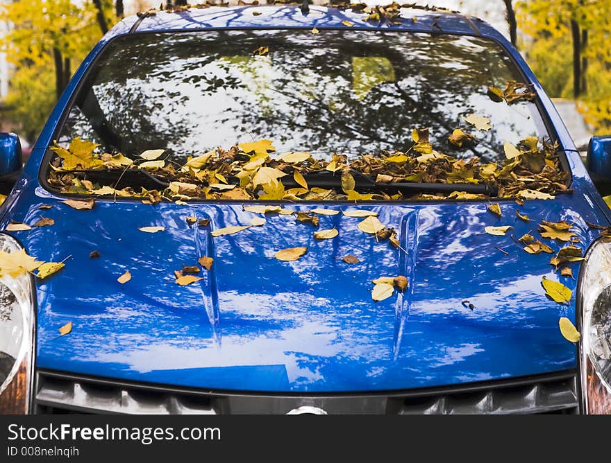 The autumn automobile covered dry leafs. The autumn automobile covered dry leafs