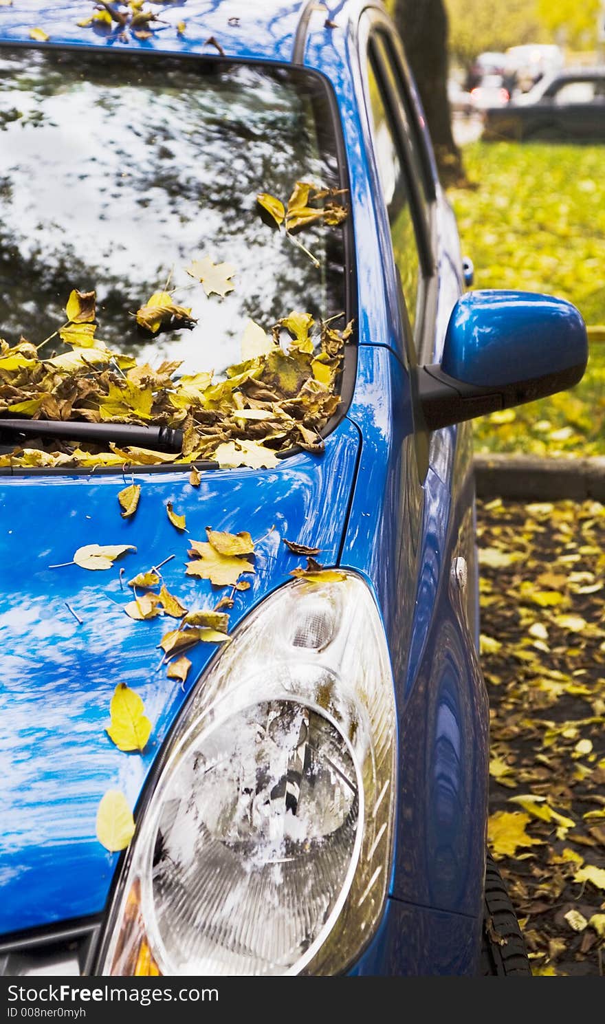 The autumn automobile covered dry leafs. The autumn automobile covered dry leafs