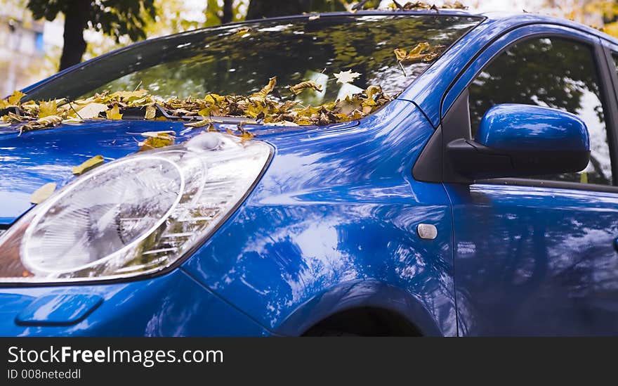 The autumn automobile covered dry leafs. The autumn automobile covered dry leafs