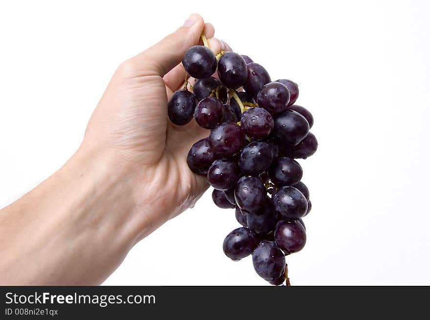 Black grapes in a man hand isolated