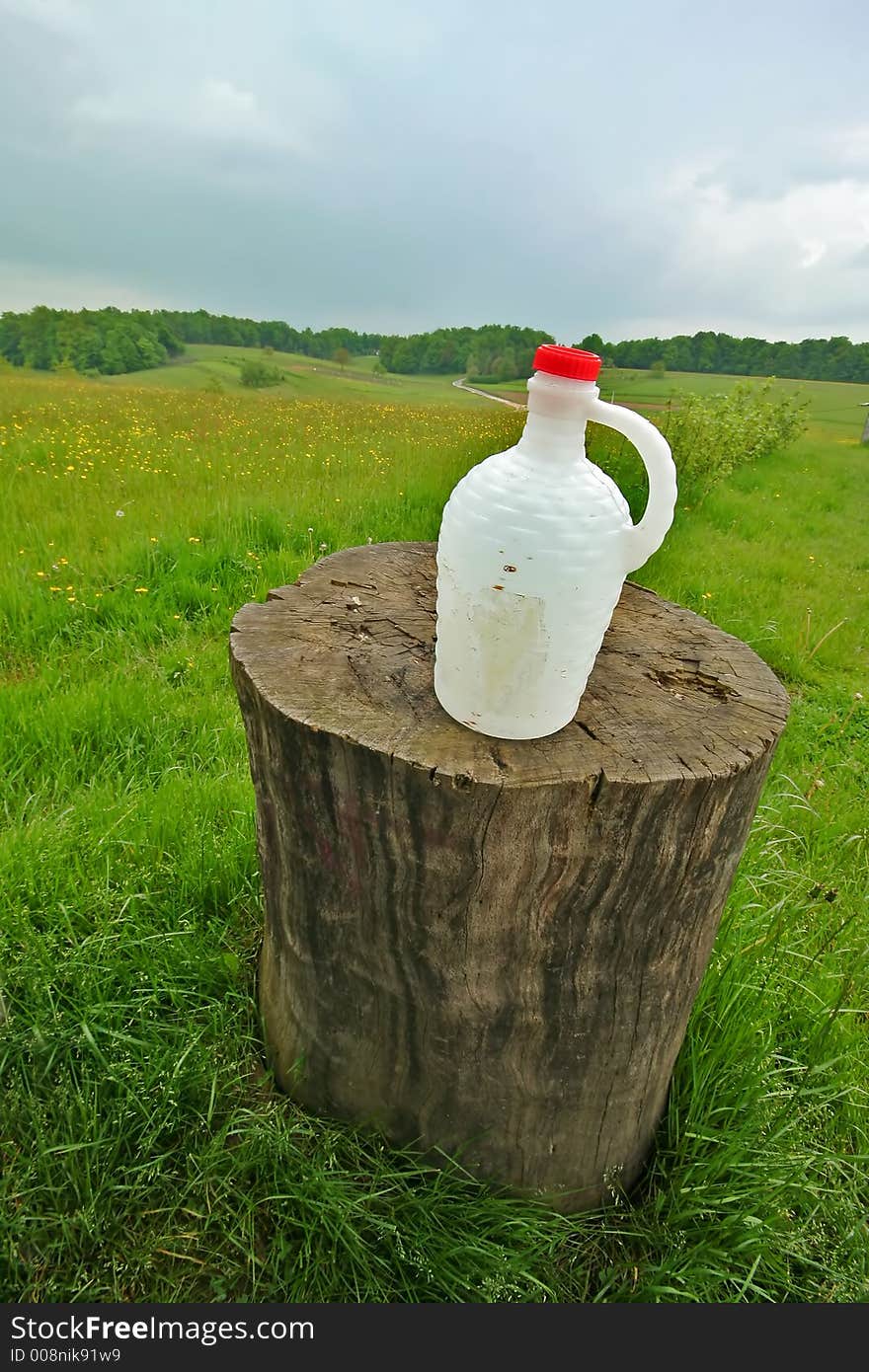 Bottle on log