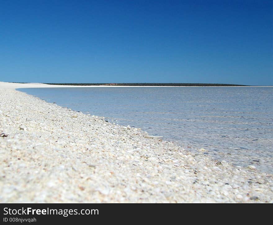 The coast with thousand of mussels. The coast with thousand of mussels