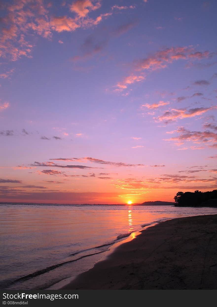 Beach in the Amazônia