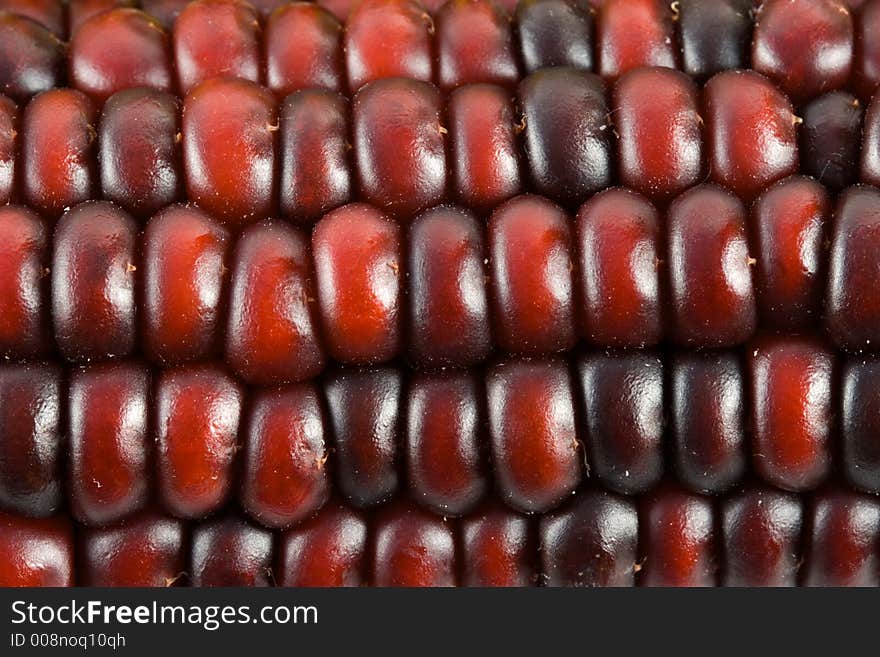 Close up of indian corn kernels. Close up of indian corn kernels