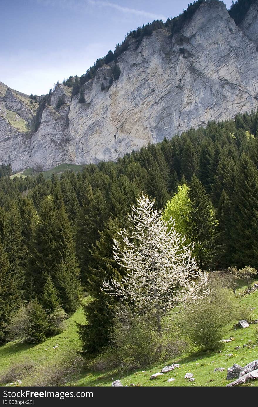 Pic de Memise, French Alps, May 2006