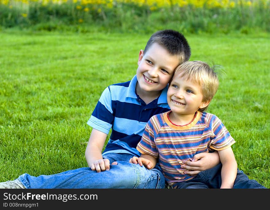 Brothers smiling on a meadow. Brothers smiling on a meadow