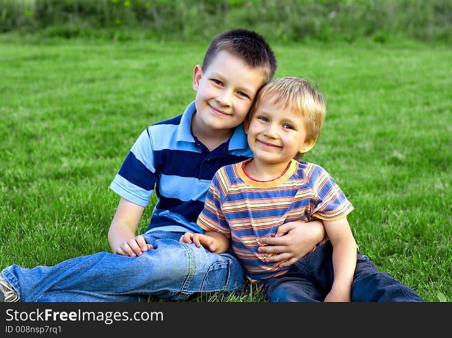 Brothers smiling on a meadow. Brothers smiling on a meadow