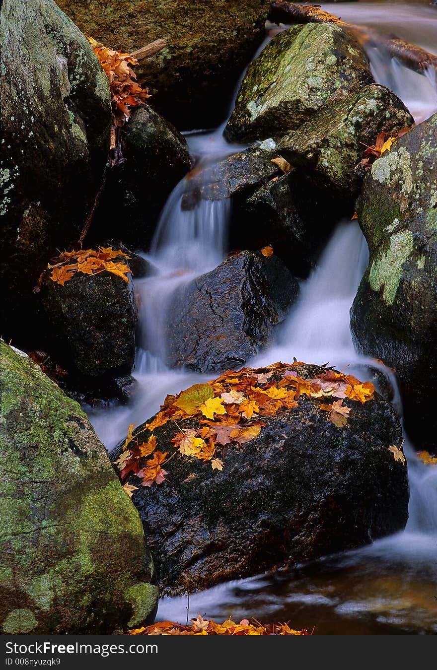 Stream in Ramapo Preserve, NJ. Stream in Ramapo Preserve, NJ