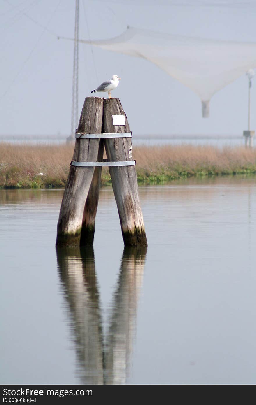 The secret part of the lagoon of Venice