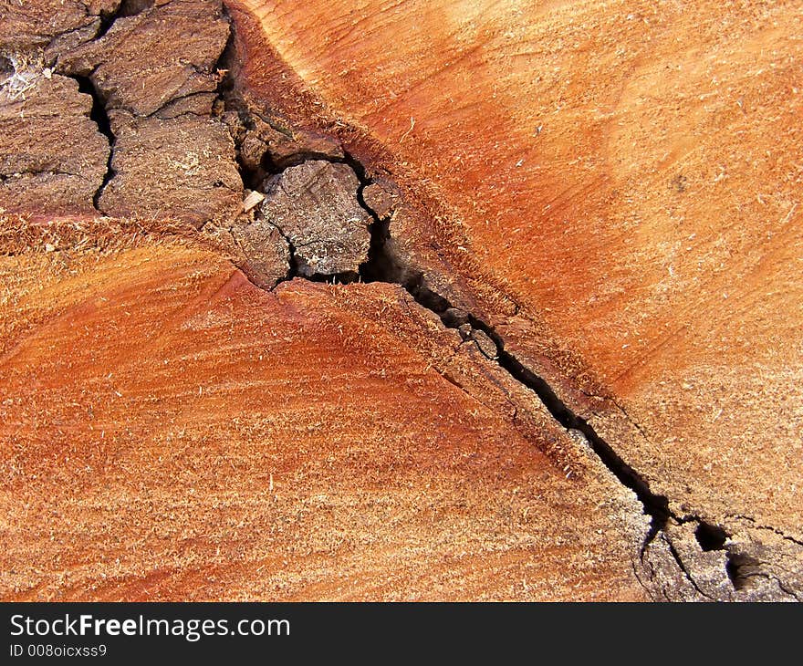 Texture of  wood with crack. Texture of  wood with crack