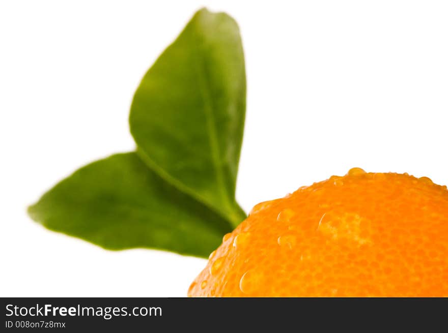 Orange fruits. calamondis. detail