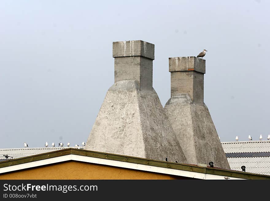 Seagull in denmark waiting the return of fishing boat on smoking fish chimneys. Seagull in denmark waiting the return of fishing boat on smoking fish chimneys