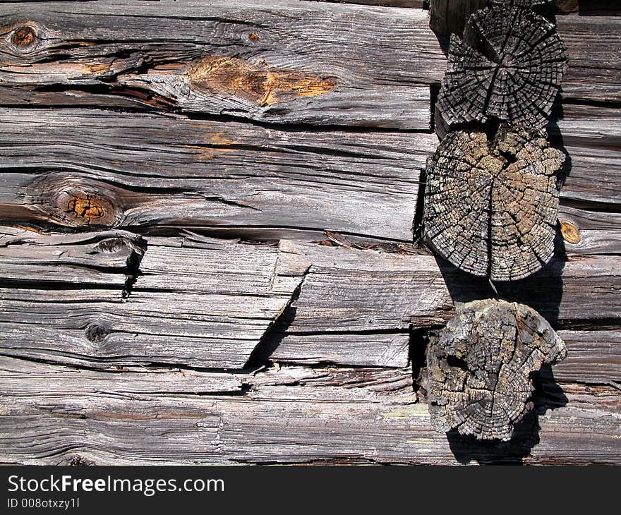 Old natural rotten wood texture