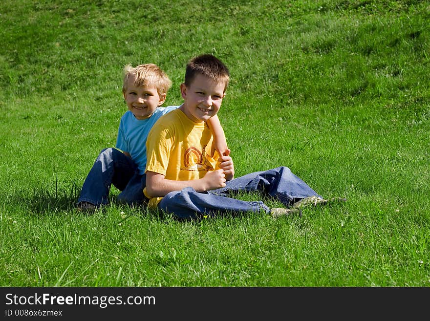 Brothers smiling on a meadow. Brothers smiling on a meadow