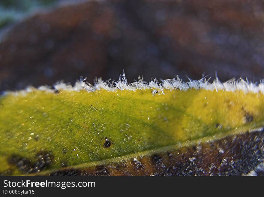 Ice crystals