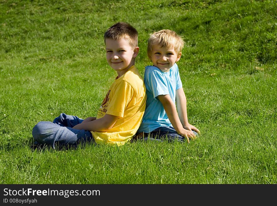 Brothers smiling on a meadow. Brothers smiling on a meadow