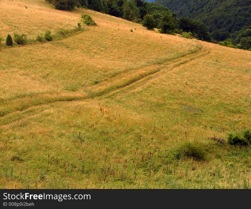 Idilic landscape with sunset on horizont and nice wild nature