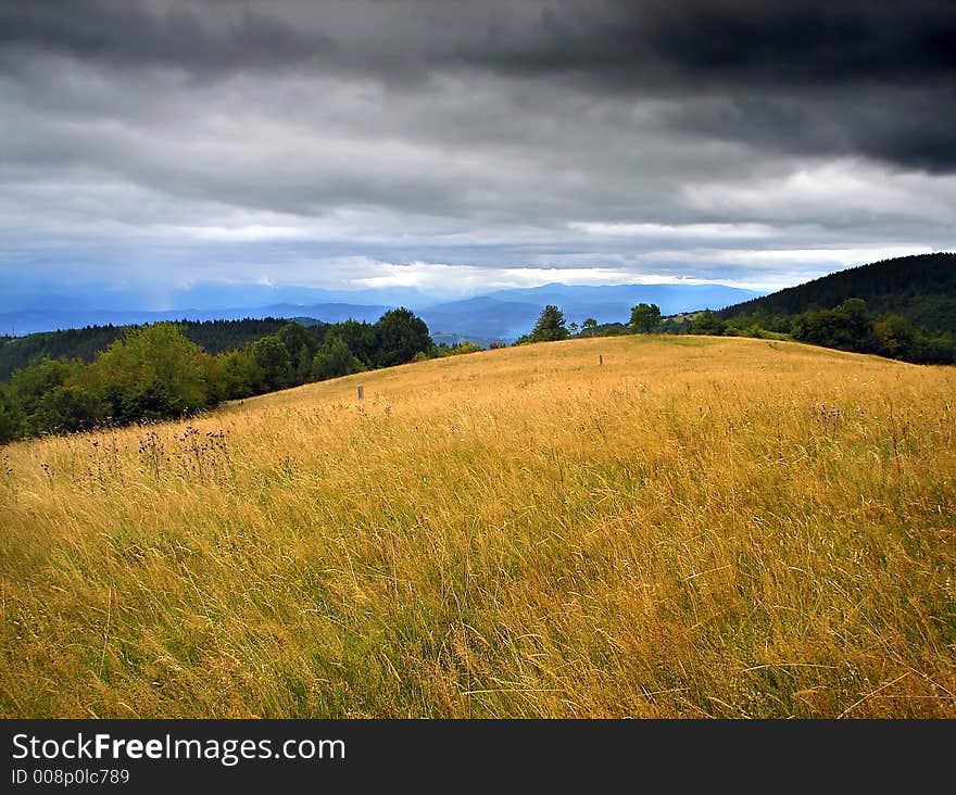 Idilic landscape with sunset on horizont and nice wild nature