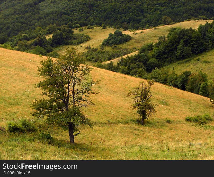 Idilic landscape with sunset on horizont and nice wild nature